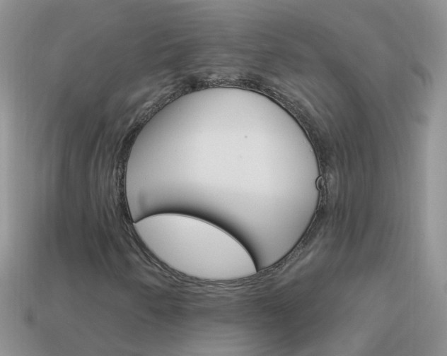 X0000114241250200910091342