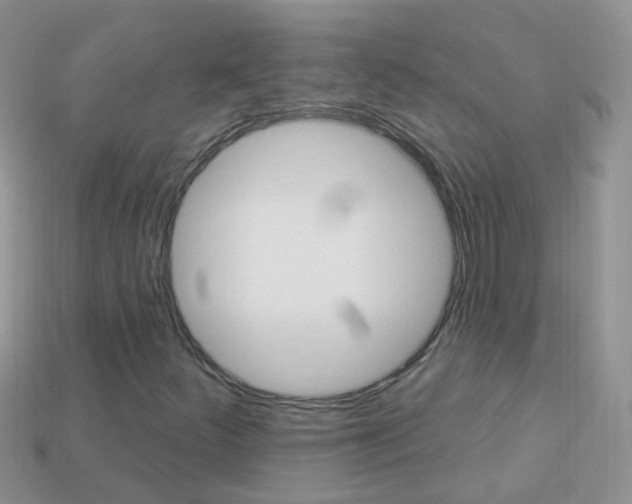 X0000114241252200910091342
