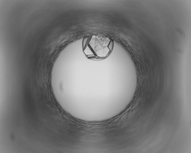 X0000114241253200910091342