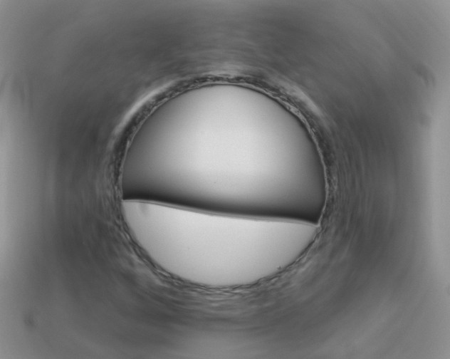 X0000114241256200910091342