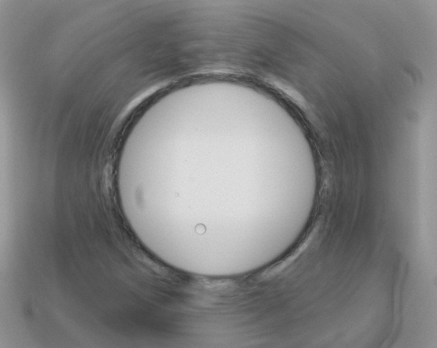 X0000114241258200910091342