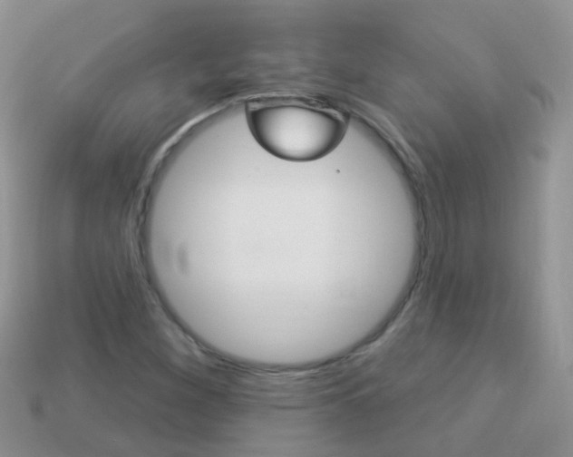X0000114241260200910091342