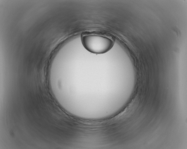 X0000114241261200910091342