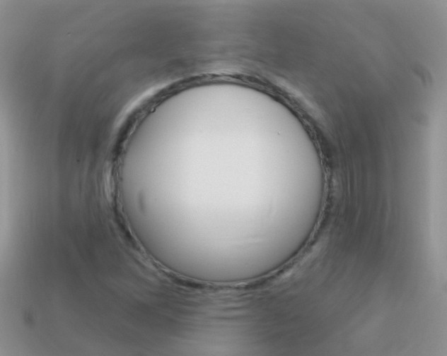 X0000114241262200910091342