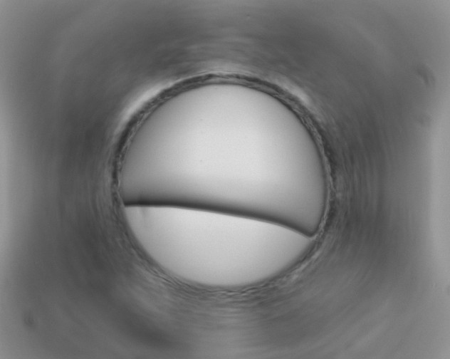 X0000114241263200910091342
