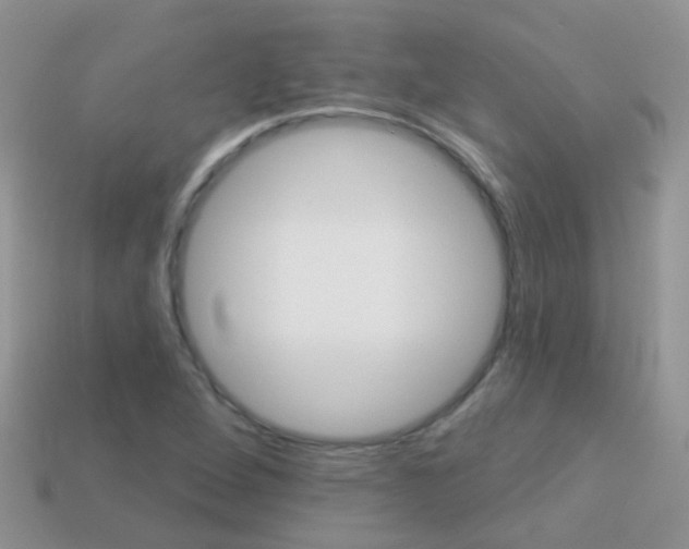 X0000114241264200910091342