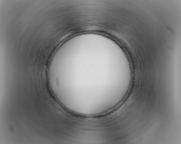 X0000114241265200910091342
