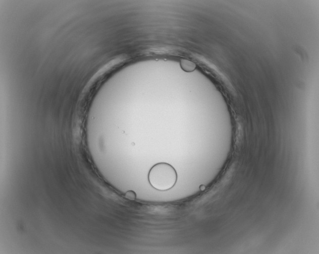 X0000114241266200910091342