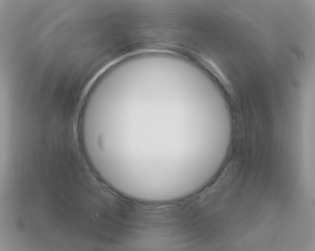 X0000114241268200910091342
