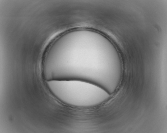 X0000114241270200910091342