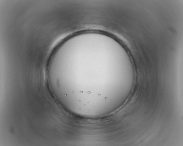 X0000114241271200910091342
