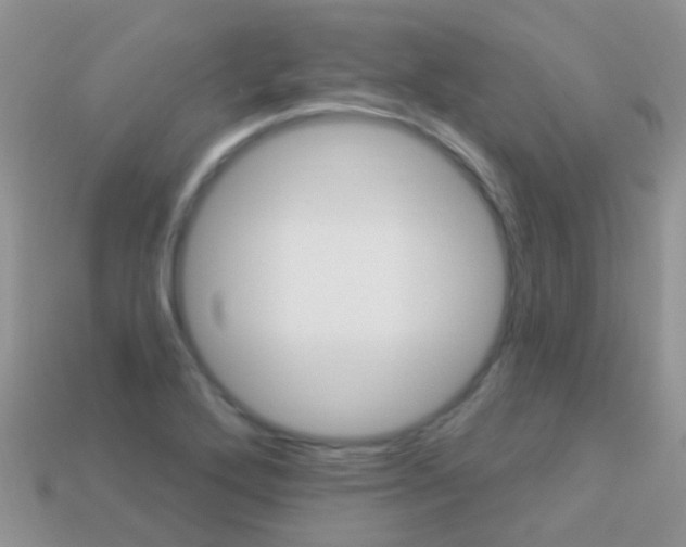 X0000114241272200910091342