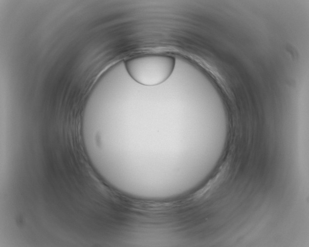 X0000114241273200910091342