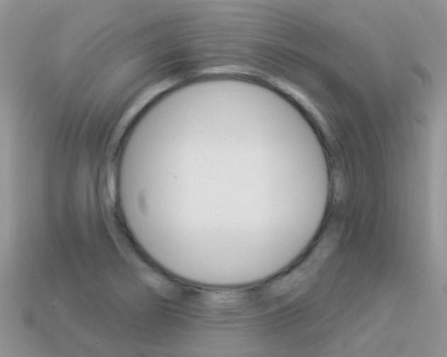 X0000114241274200910091342