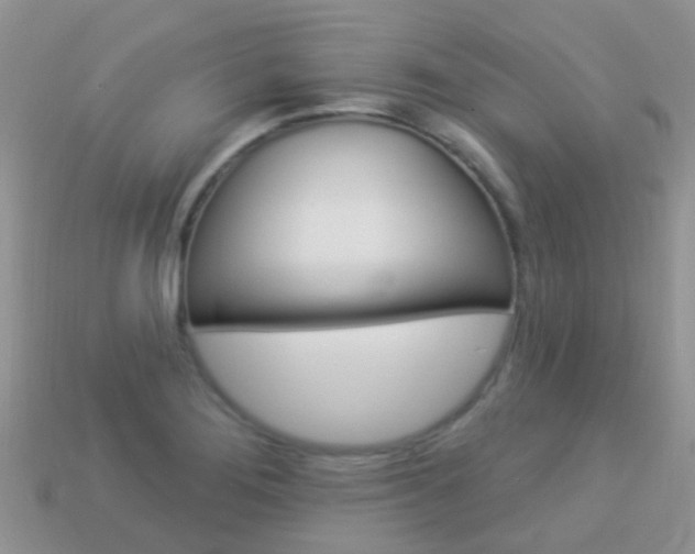 X0000114241276200910091342
