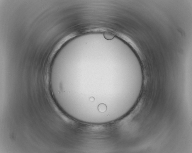X0000114241282200910091341
