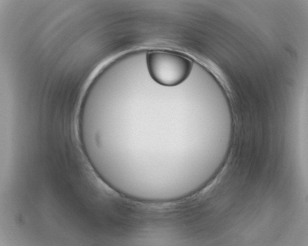 X0000114241288200910091341