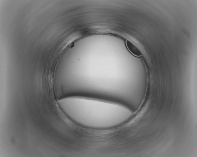 X0000114241289200910091341