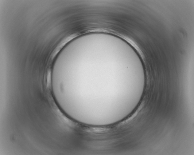 X0000114241290200910091341
