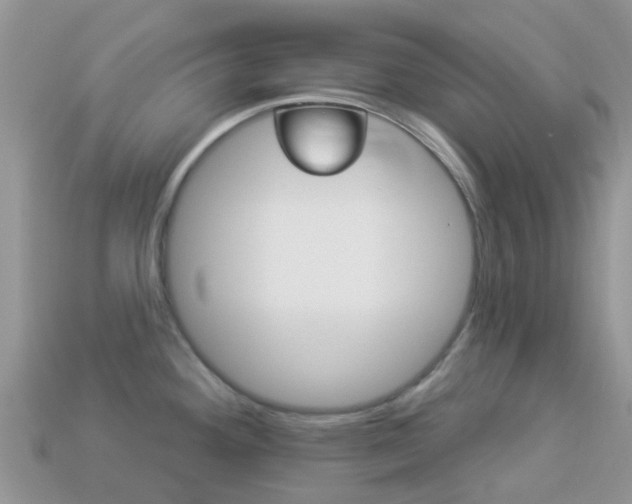 X0000114241292200910091341
