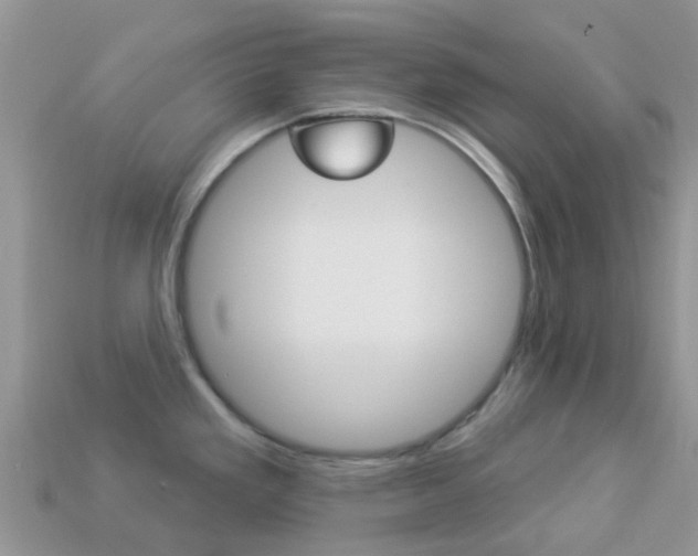 X0000114241293200910091341