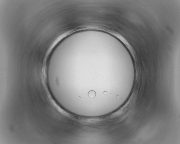 X0000114241294200910091341