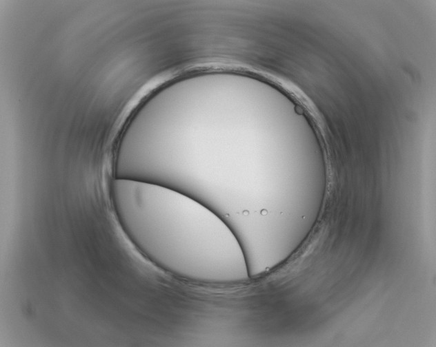 X0000114241295200910091341