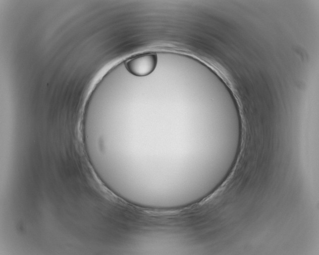 X0000114241296200910091341
