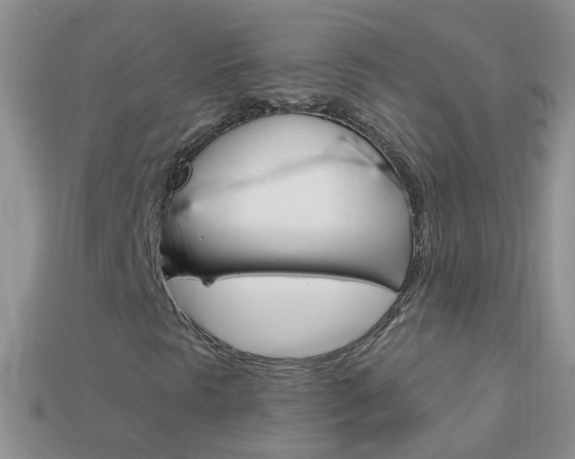 X0000114241297200910091341