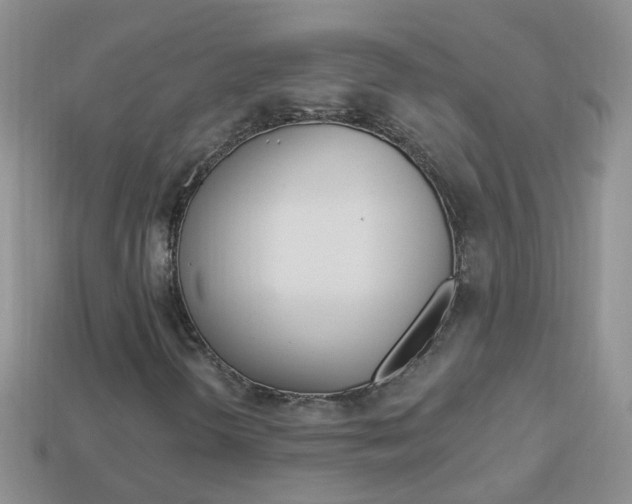 X0000114241298200910091341