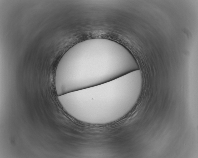 X0000114241299200910091341