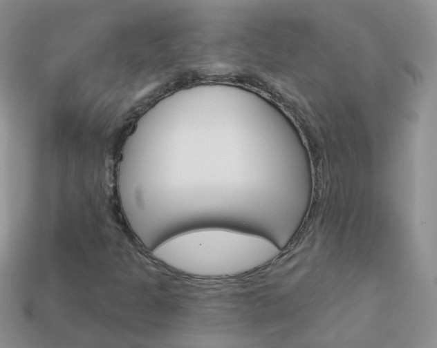 X0000114241301200910091341