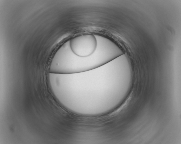 X0000114241305200910091341