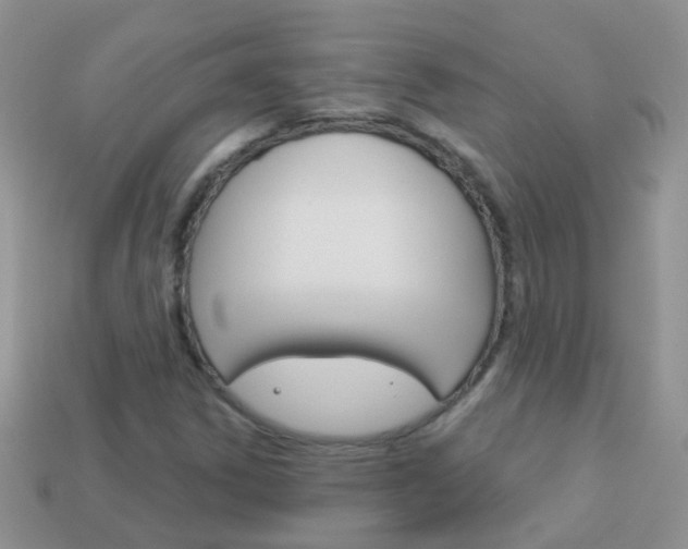X0000114241306200910091341