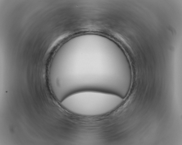 X0000114241307200910091341