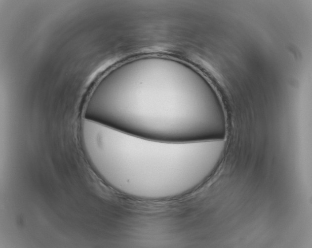 X0000114241308200910091341
