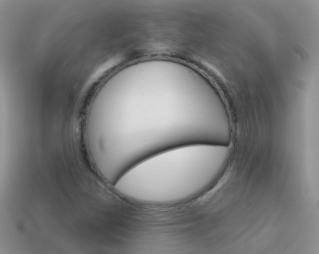 X0000114241309200910091341