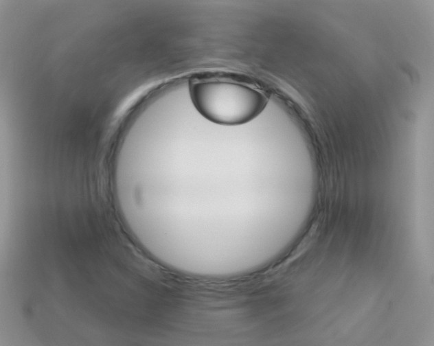 X0000114241310200910091341