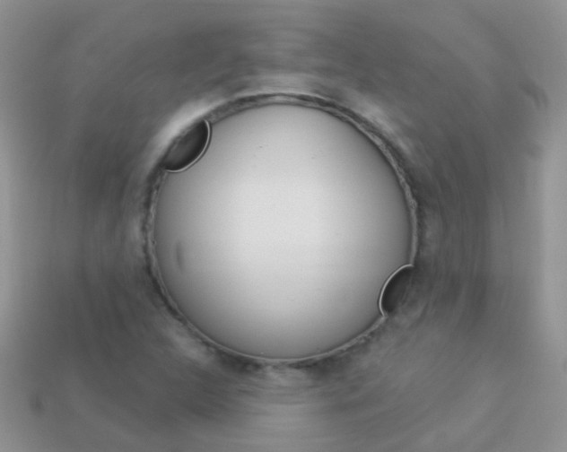 X0000114241312200910091341