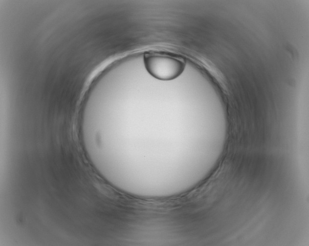 X0000114241316200910091341