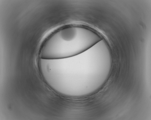 X0000114241319200910091341