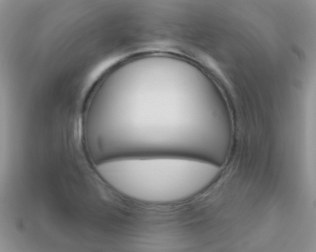 X0000114241320200910091341