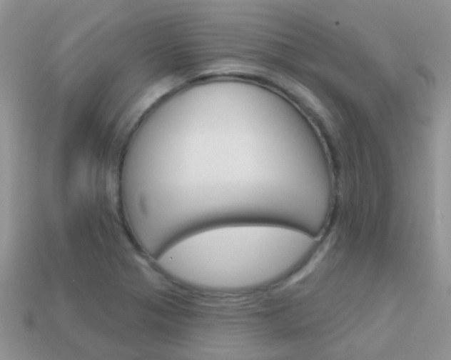 X0000114241321200910091341