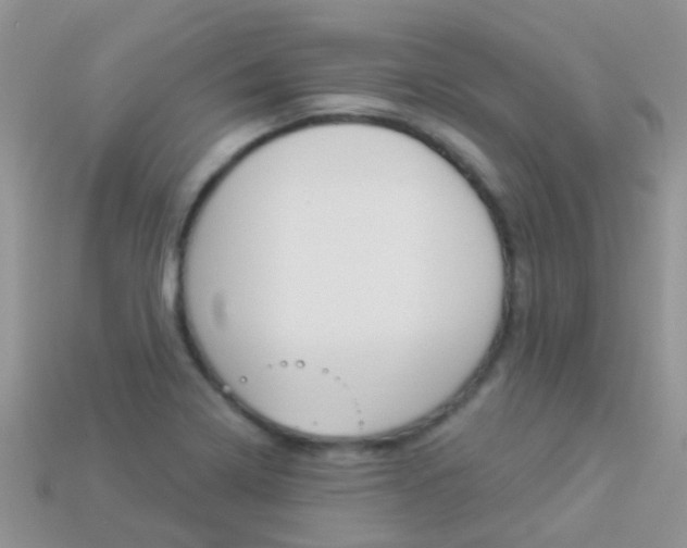 X0000114241322200910091341