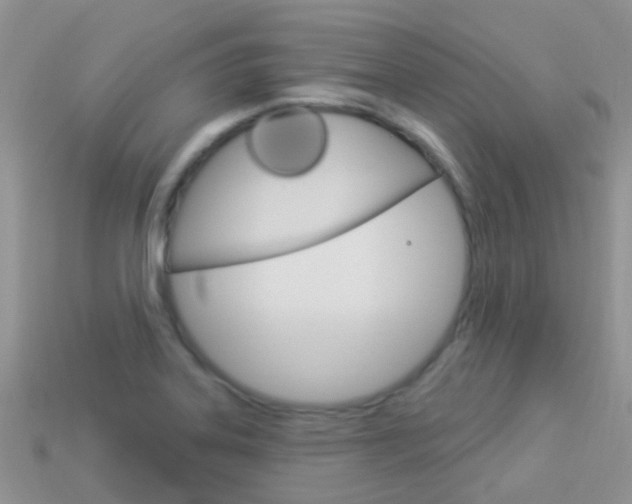 X0000114241323200910091341
