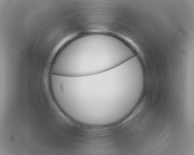 X0000114241325200910091341
