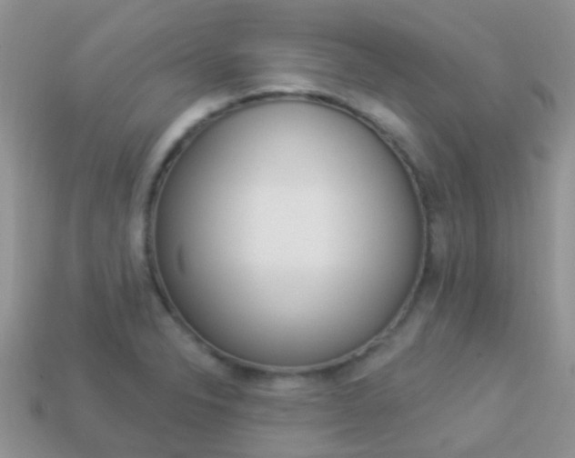 X0000114241326200910091341