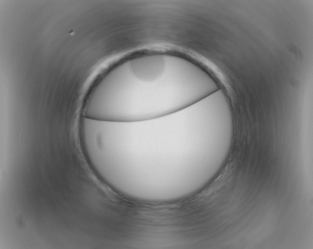 X0000114241327200910091341