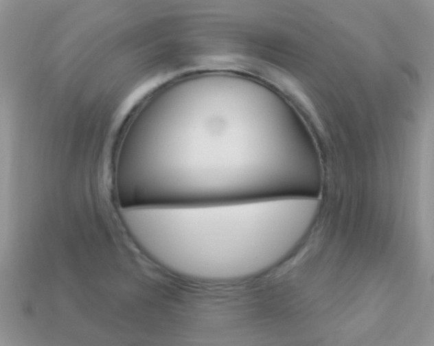 X0000114241328200910091341