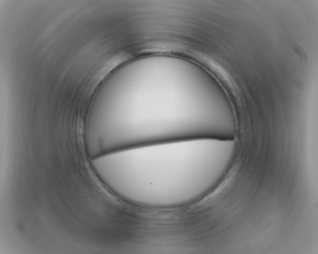 X0000114241329200910091341